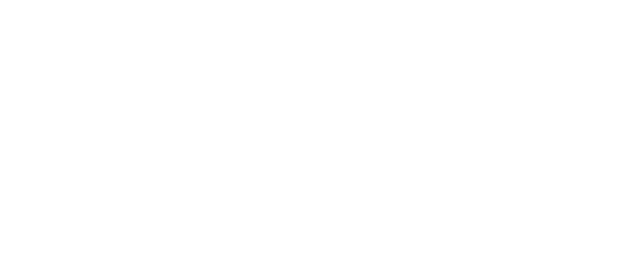 Bic-Logo
