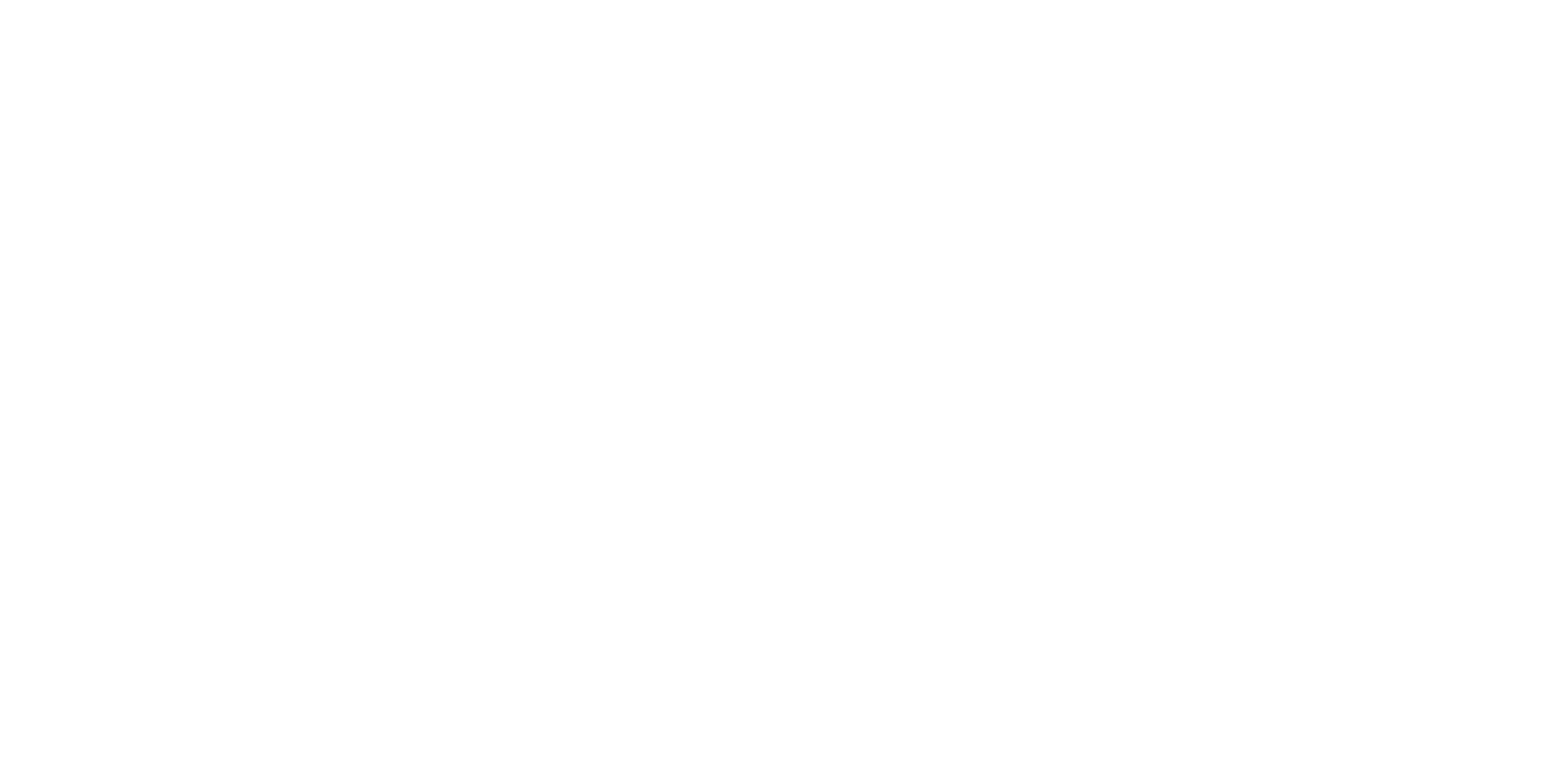 SECONDARY LOGO_THE BALI FAST BOATS_3